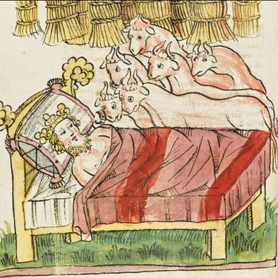 historygarforth's profile picture. One stop shop for everything historical at Garforth Academy!