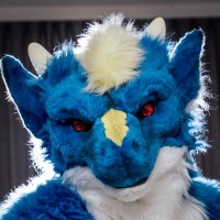 藍龍思飛 (@saphirafurry) 's Twitter Profile Photo 藍龍思飛 (@saphirafurry) 's Twitter Profile Photo
