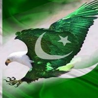 khawar Ali (@khawar70217400) 's Twitter Profile