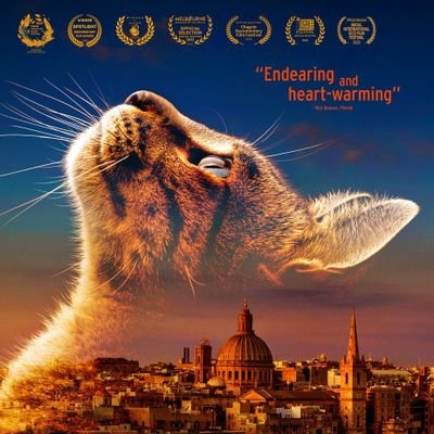 Journey through colourful cat colonies, cat cafes, parks & streets, meet the stray cats  who enrich lives| Watch now on Vimeo, Amazon, Tubi, Plex, Hoopla + more