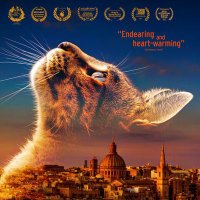 Cats of Malta The Movie(@CatsofMaltaDoco) 's Twitter Profile Photo