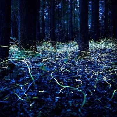 Sir_zonkelot's profile picture.