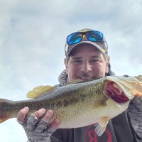 Michael Sheppard (@michael88329227) 's Twitter Profile