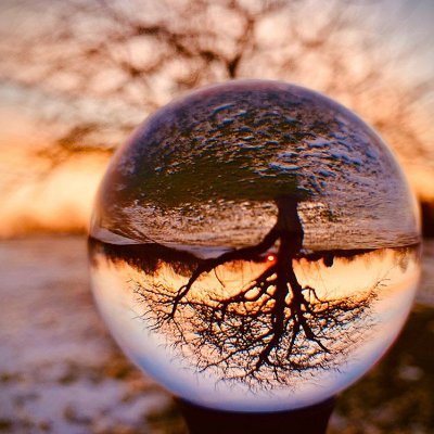 TomKlaasen2's profile picture. 