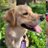 gkbottomley's profile image