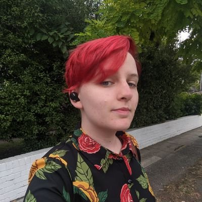 QA Analyst on @kinderworldgame | Join your union @GameWorkersAU | They/Them | @thegooflord.bsky.social
