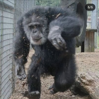 Simao99_'s profile picture. 