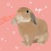 あんじゅまん🐰 (@anieleon0519) Twitter profile photo あんじゅまん🐰 (@anieleon0519) Twitter profile photo