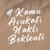 Sinem Kızılkaya (@kamudabirvekil) Twitter profile photo