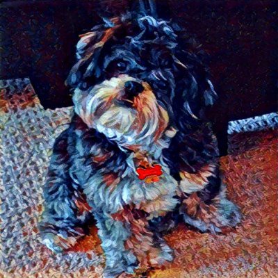 I'm Hobie, a Shih Tzu X with a Pinocchio dream (I want to be a real boy)! I live at the beach, luv playin squeaky-ball, chasin squirrels & swipin socks! #ZSHQ