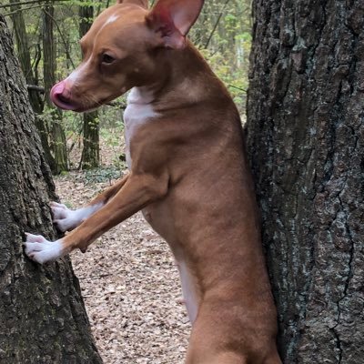 AndreasBrummel's profile picture. Flexibilität und Vielfalt Magazine München Berlin Hamburg Beauty & Fashion