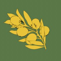 The Olive Branch Review(@TheOBReview) 's Twitter Profile Photo