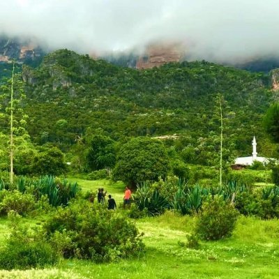 adzdbd's profile picture. 