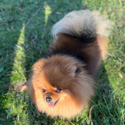 SarahHa60078740's profile picture. 