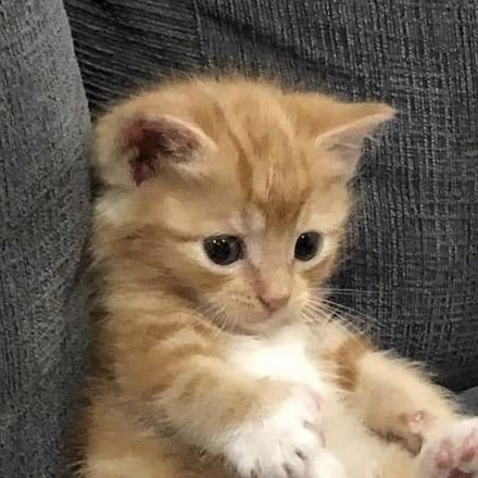 alditaehr's profile picture. — ( 🌷 ) not your j, just call me darl