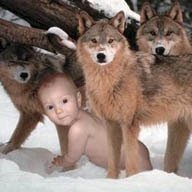 GDPsychiatrist's profile picture. Raised by wolves. Strive to keep inner dirty dog on check. Love to swear. Believe light is stronger than darkness. Artist. 💙BLM. LGBTQ. Animals & Mother Earth.