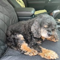 Omega4America (@americaome17300) 's Twitter Profile Photo