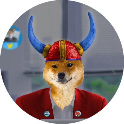 Elon Musk's Favourite CEO e Puppy 🚀 Ultimate Ticket to the MOON 🤑 0% Buy Fee ❌No Team Tokens 🔥70% Supply Burned 💌KYC & Audited 💹SAFU Team #BSC #Floki