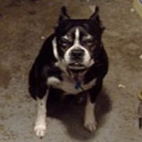 BZ Douglas (@bzdug) 's Twitter Profile