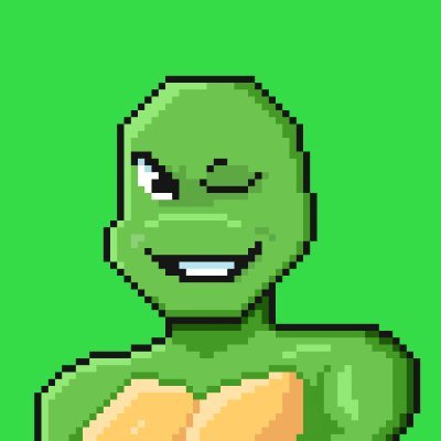 TurtlesNFT Profile Picture