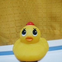 ホルヒー🐤 (@3vcj0x) 's Twitter Profile