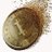 e_ducat's profile image