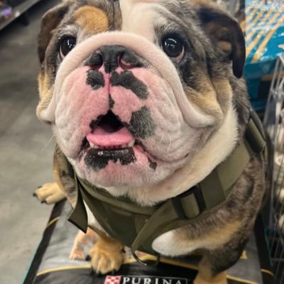 bbauer5267's profile picture. Interesting