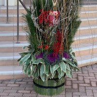 マリ (@mari125mari) 's Twitter Profile