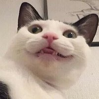 Bornky, Colonized² ✨🌌🍀👍🍓 (@bob_jangly_doo) 's Twitter Profile