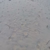 Tran Huu Hung ❤️ Memecoin (@tranhuu539388) 's Twitter Profile