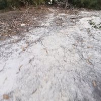 Tran Hai Binh ❤️ Memecoin (@tranhaibin47016) 's Twitter Profile