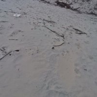 Tran Thanh Thien ❤️ Memecoin (@trantha63036435) 's Twitter Profile