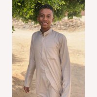 Mohamed Osama (@mohamed89947159) 's Twitter Profile