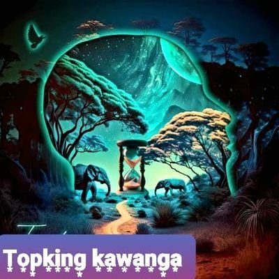 Topkingkawanga's profile picture. Topking