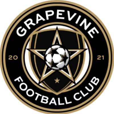 Official Account of Grapevine FC