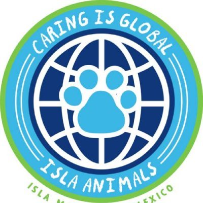 Isla Animals A.C. is an animal rescue located in Isla Mujeres, Mexico. We are a registered 501c3 non-profit in both USA and Mexico.