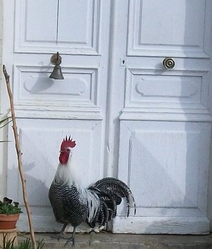 Seller of French Junk. For lovers of all things rustique and rusty. Shabby and sometimes Chic French Antiques from La France Profond to the Rest of the World.