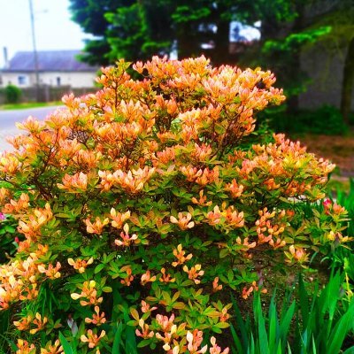 rabetdaniella42's profile picture. 