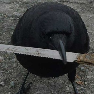 brokncrow's profile picture. bkncrw