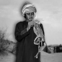 محمدالشحي (@m4338544) Twitter profile photo