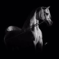 د.جبران بن هيف. (@jobran_binhaif) 's Twitter Profile