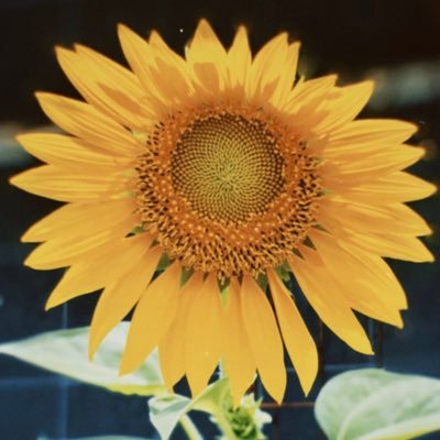 iiaaakk's profile picture. 