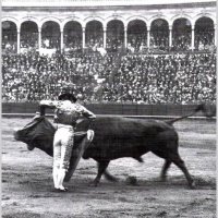 aPiesJuntos (@apiesjuntos) 's Twitter Profile Photo