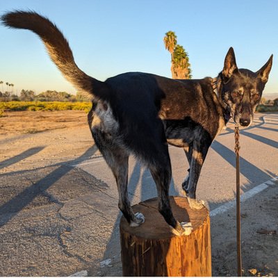 rmceoin's profile picture. Hacker of code
Moved to Mastodon @rmceoin@infosec.exchange