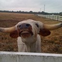 Dr. Elia Vecchione - @DrPaVecc - Twitter