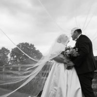 Alice Pattenden (@alice37013714) 's Twitter Profile