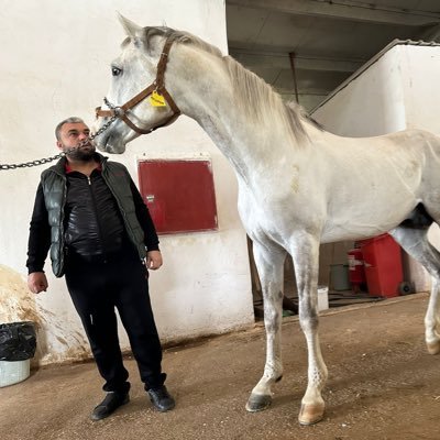 A_K_Y_A_K_A's profile picture. at sahibi yetiştici #otel#showbar#clap #akyaka#haberkan#orhunkaan