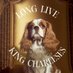 Long Live King Charleses (@LongLiveTheOGs) Twitter profile photo
