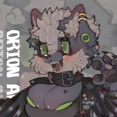 Orion Bellatrix. The fat punk huskyさんのプロフィール画像