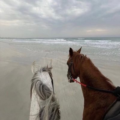 RashaMo112's profile picture. 